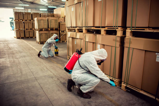 Best Wasp Removal Services  in Limestone Creek, FL