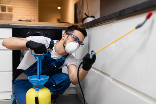 Best Wildlife Control Services  in Limestone Creek, FL