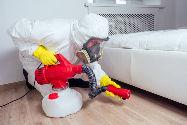 Best Bed Bug Extermination  in Limestone Creek, FL