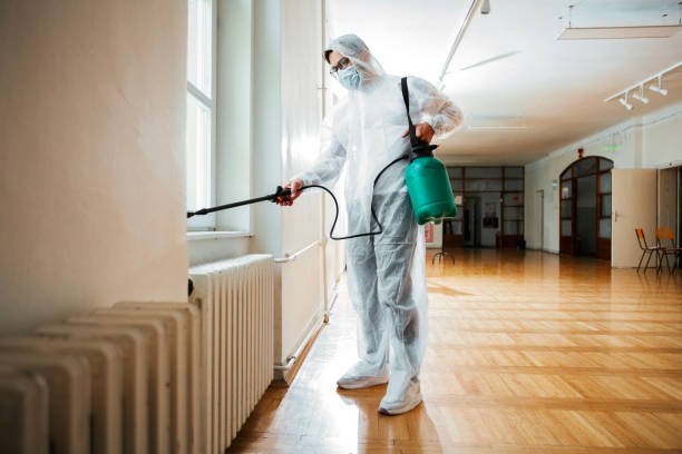 Best Termite Control Services  in Limestone Creek, FL