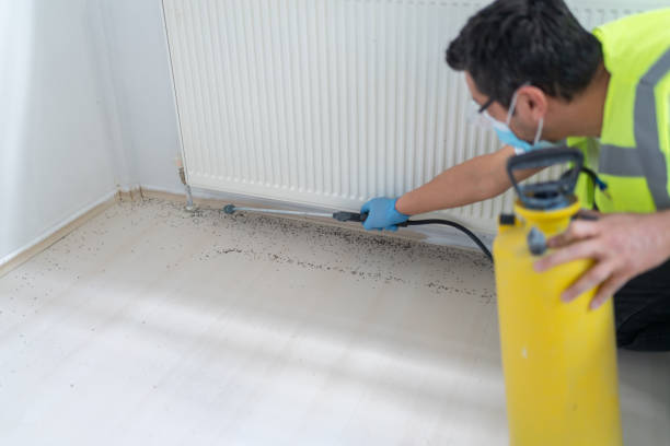 Best Exterminator Services  in Limestone Creek, FL